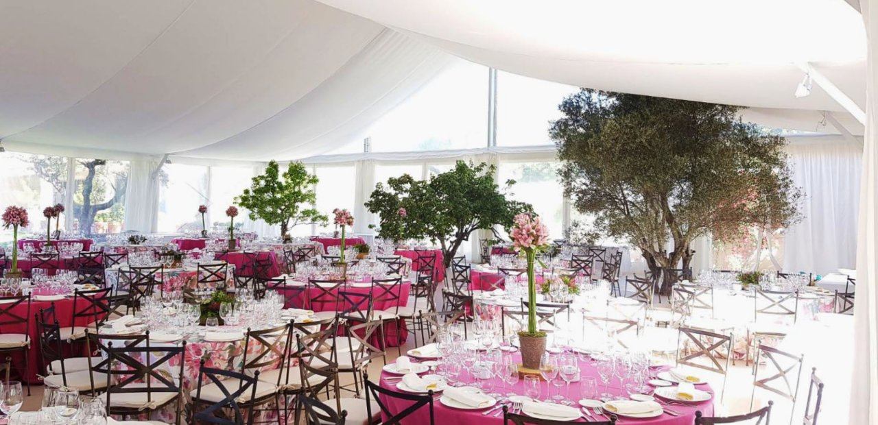 Alquiler de carpas para eventos | Eventop Carpas Barcelona