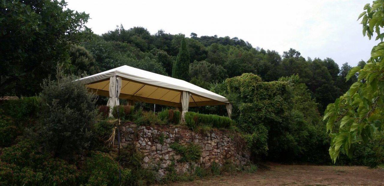 Guía completa para alquilar un carpa para bodas