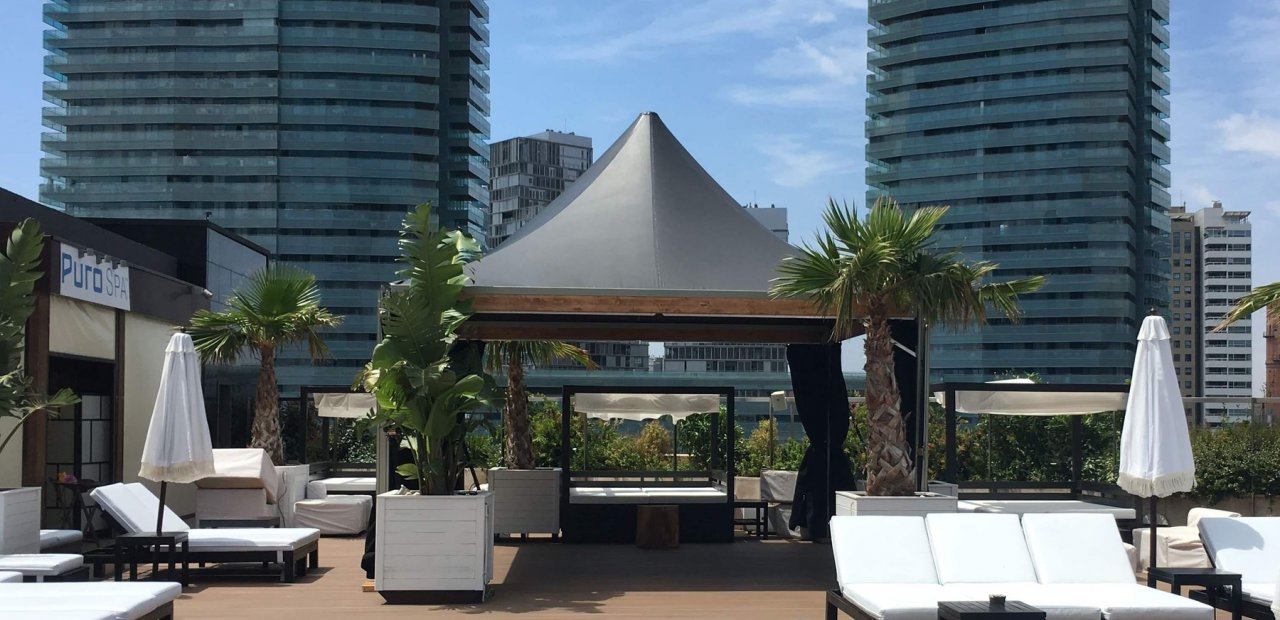 Las carpas y el viento