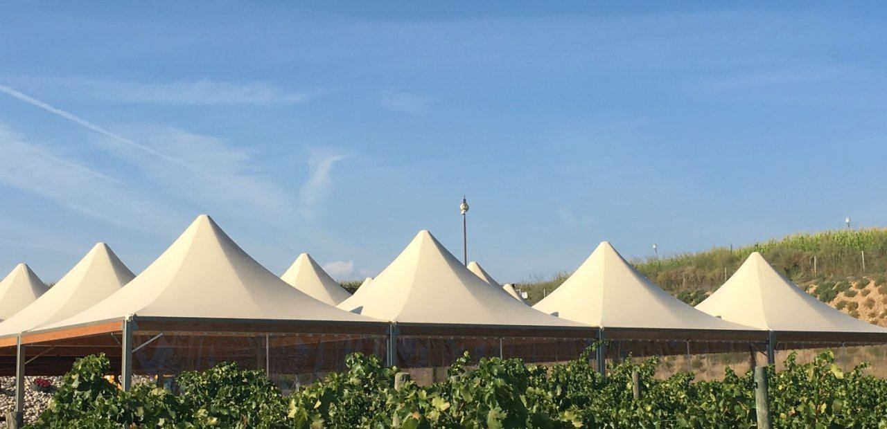 Ventajas de alquilar Carpas para Bodas 