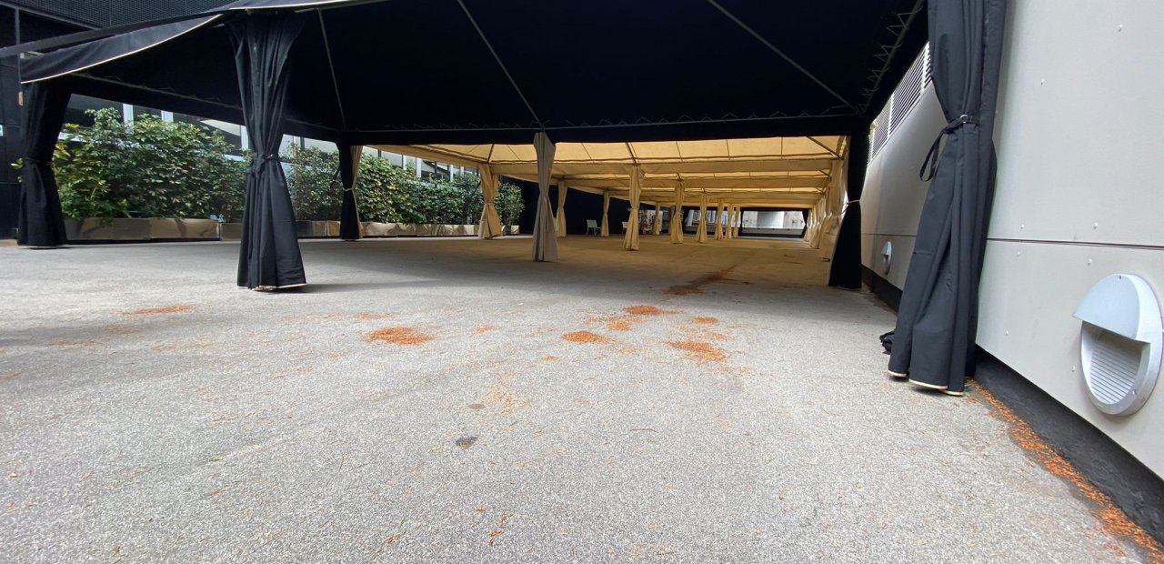 Carpas Modulares en Cosmocaixa